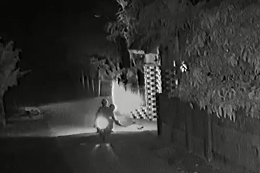 Camera ghi khoảnh khắc 2 đối tượng trộm chó chỉ trong... 2 giây