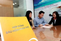 Đóng 80 triệu đồng mua bảo hiểm, sau 3 năm bỏ chạy, chấp nhận lỗ đau