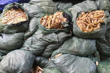 Đường tới “bàn ăn” của 22 tấn măng ngâm lưu huỳnh độc hại