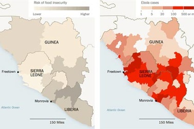 Những lo ngại mới trong cuộc chiến chống Ebola
