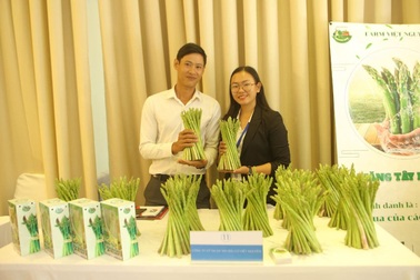 Chàng trai Tây Nguyên "bỏ phố về quê" khởi nghiệp với măng tây