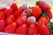 Bỏ sớm 3 thói quen nuôi dưỡng tế bào ung thư