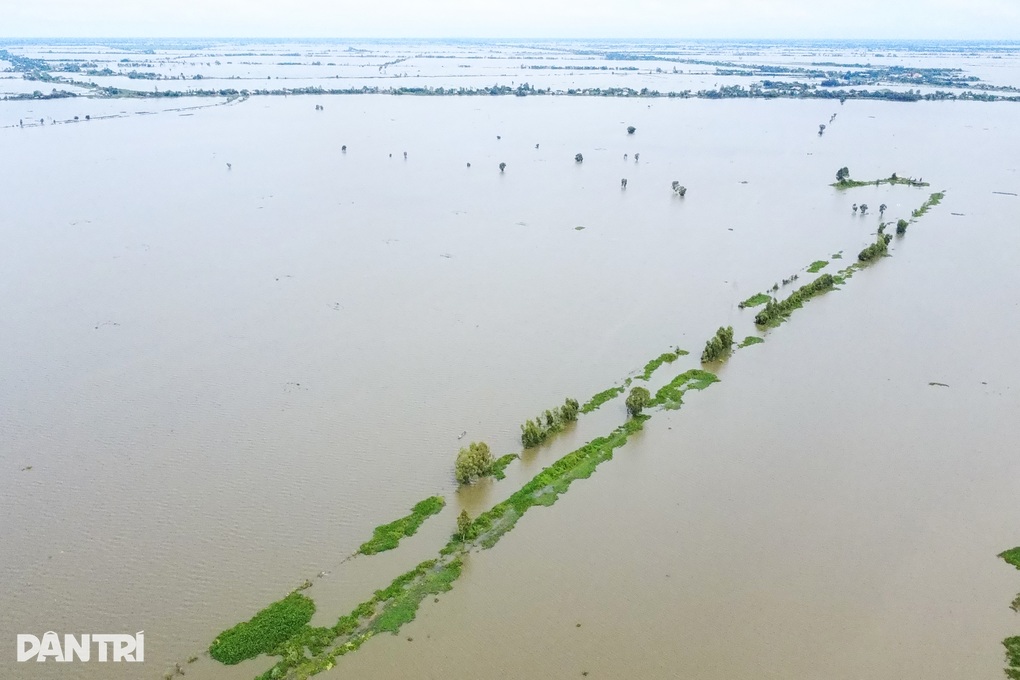 Tây Ninh gấp gáp gia cố hơn 110km đê bao vùng Đồng Tháp Mười - 2