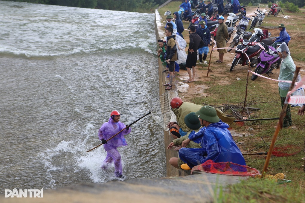 Hàng chục người liều mình lao xuống dòng nước lũ chảy xiết bắt cá - 3 Hàng chục người liều mình lao xuống dòng nước lũ chảy xiết bắt cá - 3