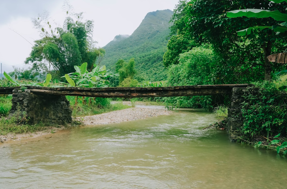 “Về chung một nhà” - Triển lãm tranh da gây quỹ xây cầu cho vùng cao - 5 “Về chung một nhà” - Triển lãm tranh da gây quỹ xây cầu cho vùng cao - 5