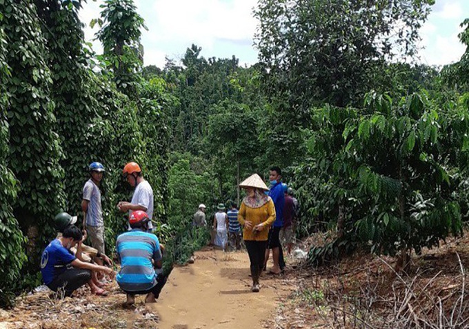 Đắk Nông: Tìm thấy thi thể bố và 2 con trong chòi rẫy - Ảnh 1.