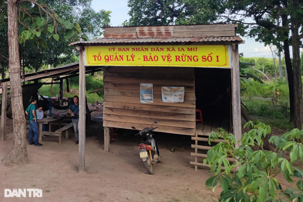 Lo chảy máu rừng, xã gồng gánh thuê người dân dựng chốt giữ rừng - 4 Lo chảy máu rừng, xã gồng gánh thuê người dân dựng chốt giữ rừng - 4