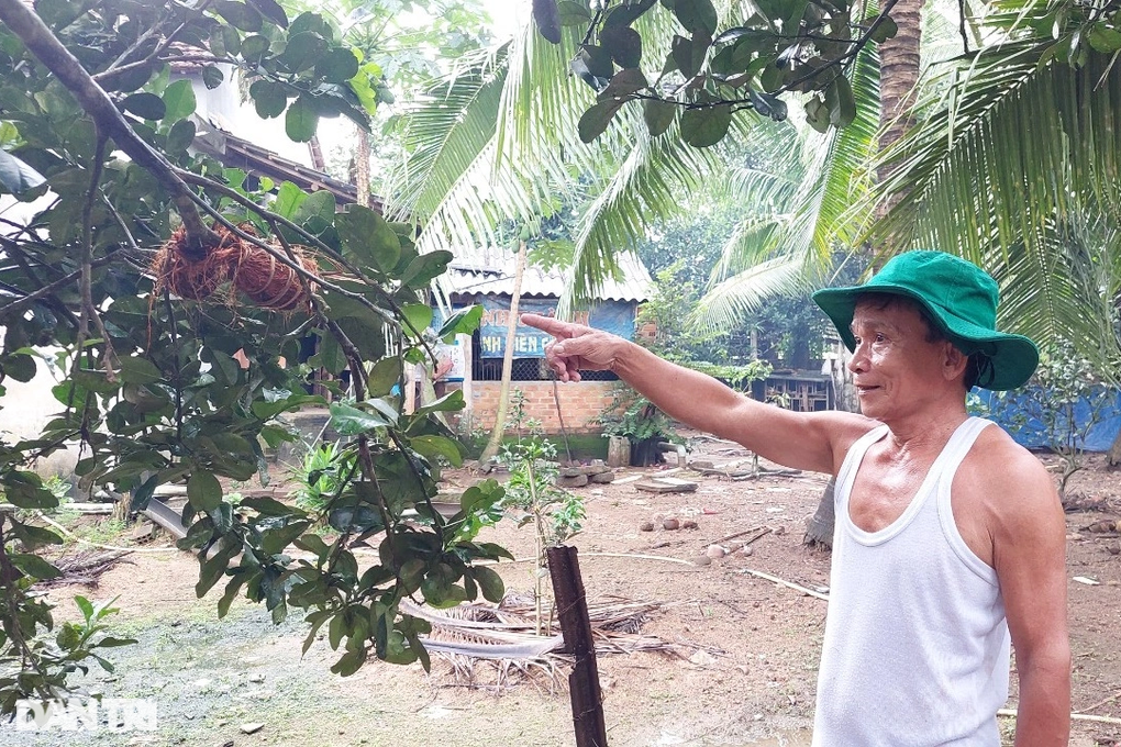 Nông sản lên sàn thương mại điện tử, nông dân hưởng lợi - 5 Nông sản lên sàn thương mại điện tử, nông dân hưởng lợi - 5
