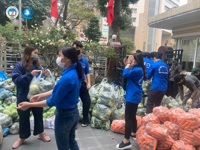 Sinh Viên TP Hà Nội chung tay hỗ trợ giải cứu nông sản Hải Dương - Ảnh 3. Sinh Viên TP Hà Nội chung tay hỗ trợ giải cứu nông sản Hải Dương - Ảnh 3.