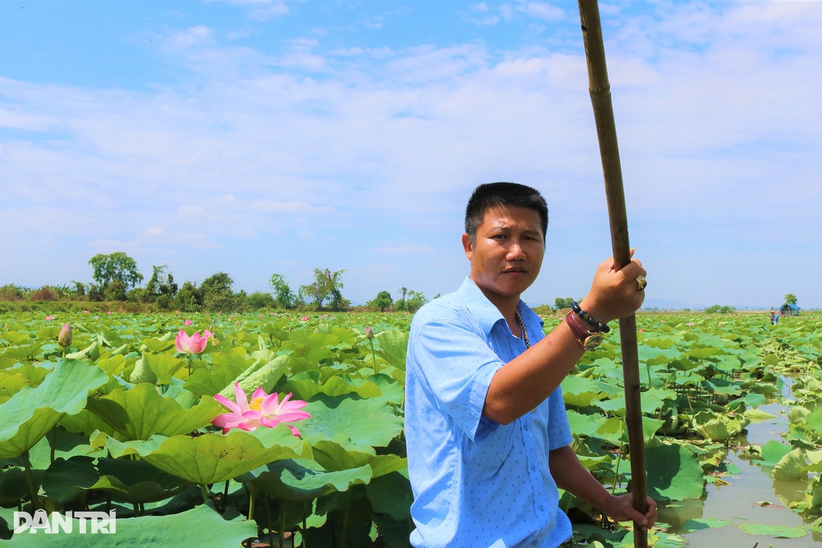 Thiếu nữ Ba Na check-in cánh đồng sen tỏa hương trên cao nguyên - 6 Thiếu nữ Ba Na check-in cánh đồng sen tỏa hương trên cao nguyên - 6