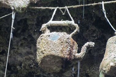 Giếng nước kỳ lạ khiến vạn vật …. hóa đá