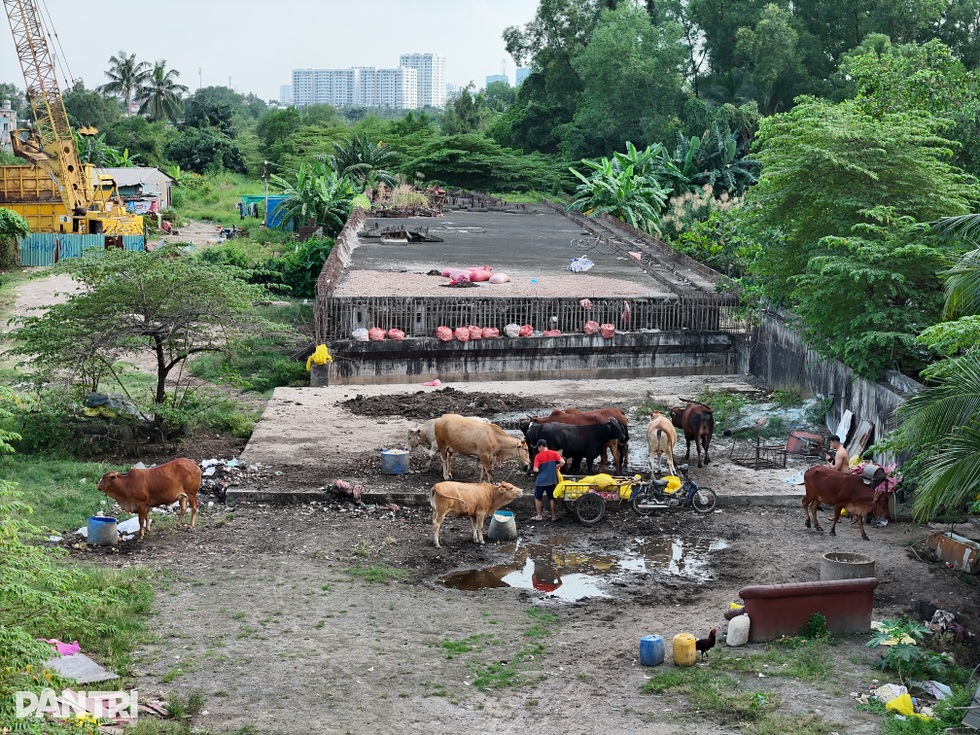 Dự án Vành đai 2 TPHCM bất động gần 5 năm, nhà đầu tư khóc ròng vì lãi vay - 6 Dự án Vành đai 2 TPHCM bất động gần 5 năm, nhà đầu tư khóc ròng vì lãi vay - 6
