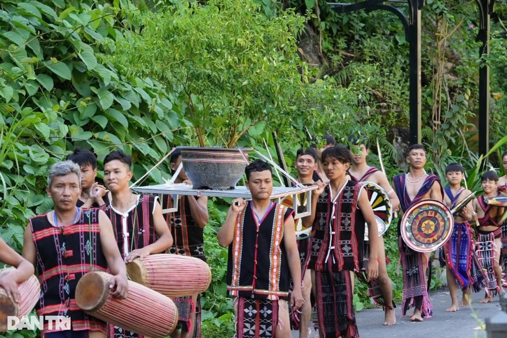 Cây dại mọc trong rừng thành đặc sản, cho hàng chục triệu đồng mỗi năm - 3