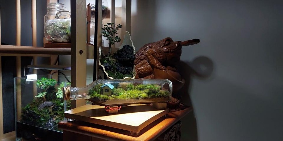 Terrarium - thú chơi nuôi dưỡng tình yêu với thiên nhiên hút giới trẻ - 6 Terrarium - thú chơi nuôi dưỡng tình yêu với thiên nhiên hút giới trẻ - 6
