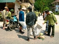 Vụ 3 cây sưa cổ thụ: Vẫn chưa thấy tung tích 11 lâm tặc