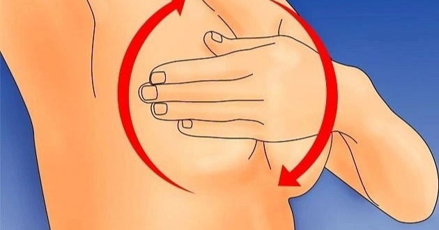 Sờ thấy cục cứng ở ngực, chị em phát hoảng suy sụp vì sợ ung thư - 1 Sờ thấy cục cứng ở ngực, chị em phát hoảng suy sụp vì sợ ung thư - 1