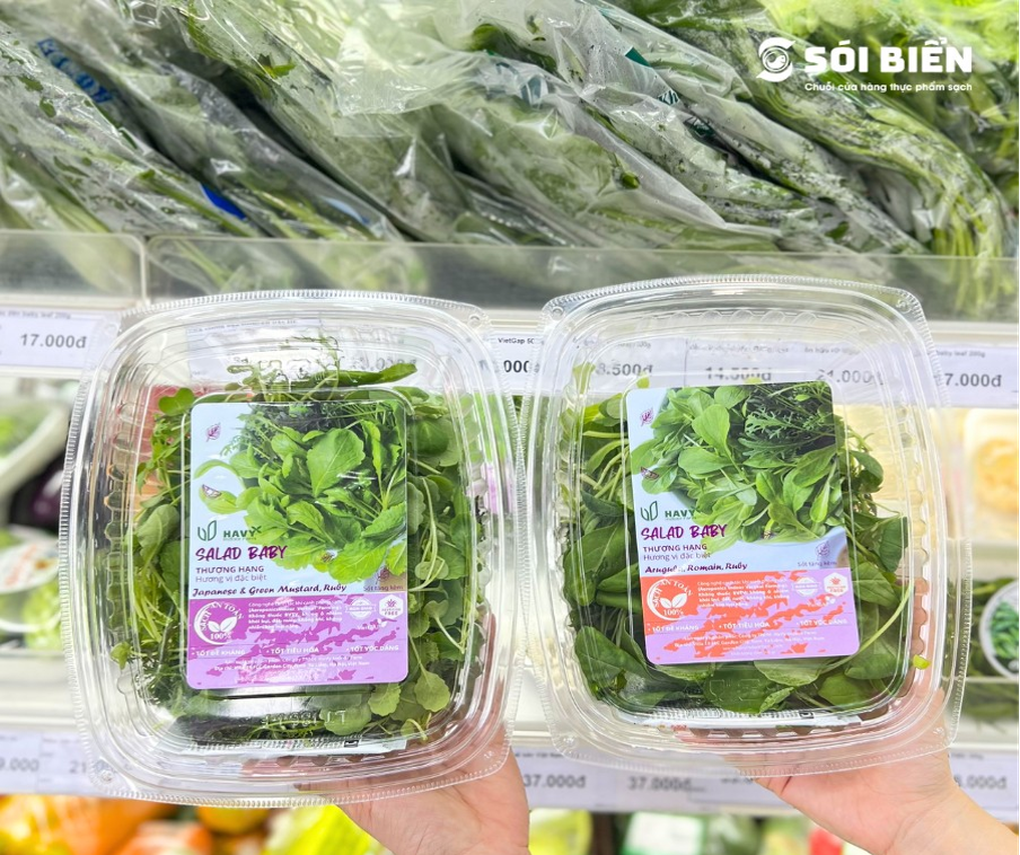 Havy Indoor Farm mang rau sạch từ nông trại đến bàn ăn - 6 Havy Indoor Farm mang rau sạch từ nông trại đến bàn ăn - 6