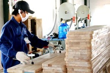 Giảm thuế cho doanh nghiệp nhỏ và vừa xuống 17%: Có lo ngân sách hụt thu?