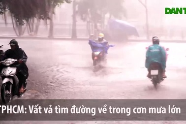 TPHCM: Mưa lớn, gió giật gây hạn chế tầm nhìn cho người dân giờ tan tầm