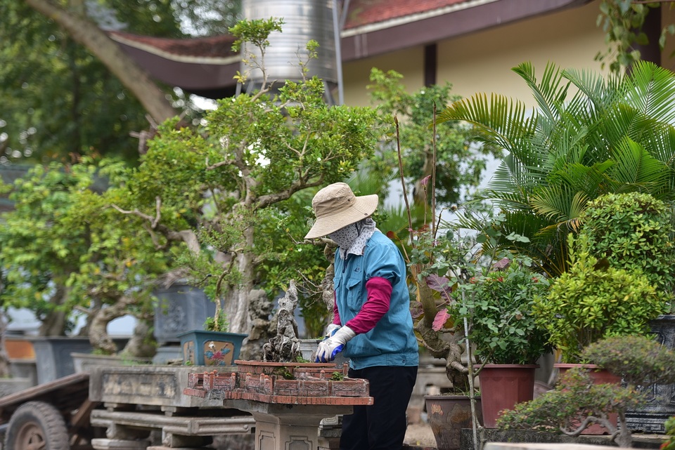 Hoa mắt trước khu vườn triệu đô của ông vua cây cảnh - 8 Hoa mắt trước khu vườn triệu đô của ông vua cây cảnh - 8