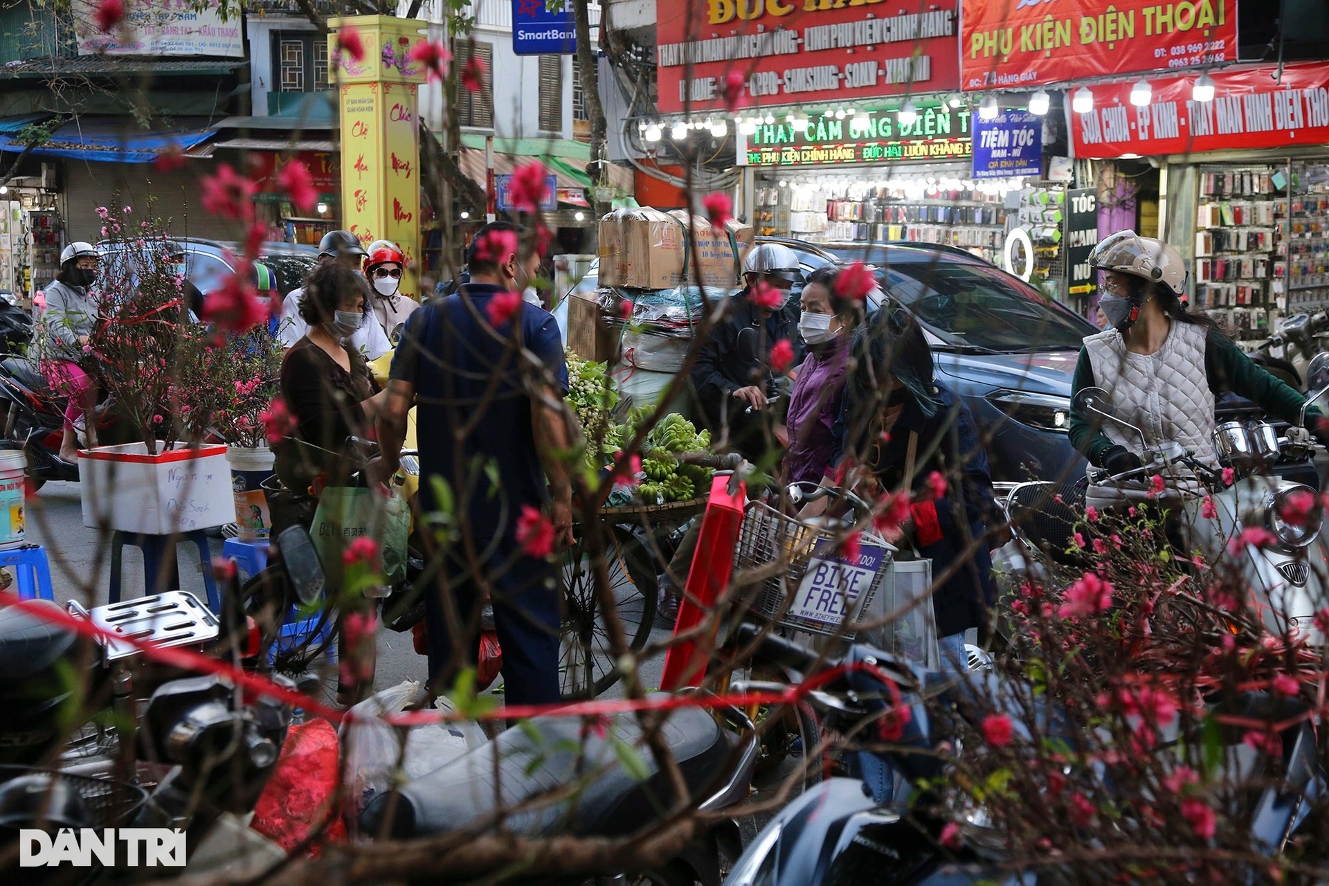 Chợ hoa Hàng Lược mang không khí Tết đặc trưng đất Hà Thành - 2 Chợ hoa Hàng Lược mang không khí Tết đặc trưng đất Hà Thành - 2