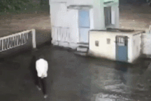 Nổi bật tuần qua: Người đàn ông đối mặt sư tử trong đêm và cái kết