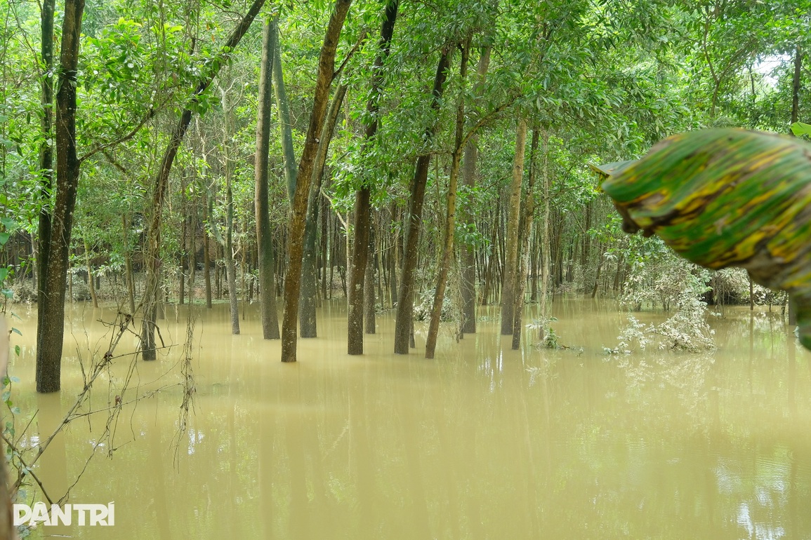 Dân Hà Nội thấm nỗi khổ mưa ngập như cảnh bão lũ miền Trung - 6 Dân Hà Nội thấm nỗi khổ mưa ngập như cảnh bão lũ miền Trung - 6