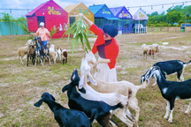 Khách du lịch có thể trải nghiệm gì ở TPHCM trong và sau lễ 2/9?