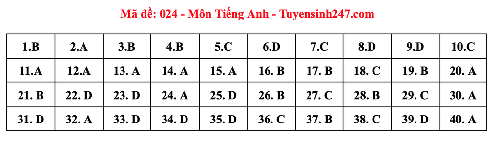 Gợi ý đáp án môn tiếng Anh thi vào lớp 10 năm 2025 của Hà Nội - 24 Gợi ý đáp án môn tiếng Anh thi vào lớp 10 năm 2025 của Hà Nội - 24