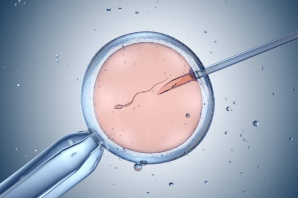 Em bé ra đời từ DNA của ba người: Bước tiến quan trọng trong y học - 1