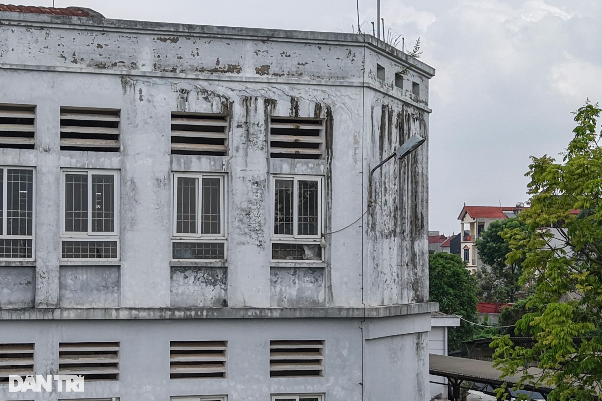 Loạt chợ tiền tỷ bỏ hoang, cây cối mọc thành rừng gây lãng phí tại Hà Nội - 5 Loạt chợ tiền tỷ bỏ hoang, cây cối mọc thành rừng gây lãng phí tại Hà Nội - 5