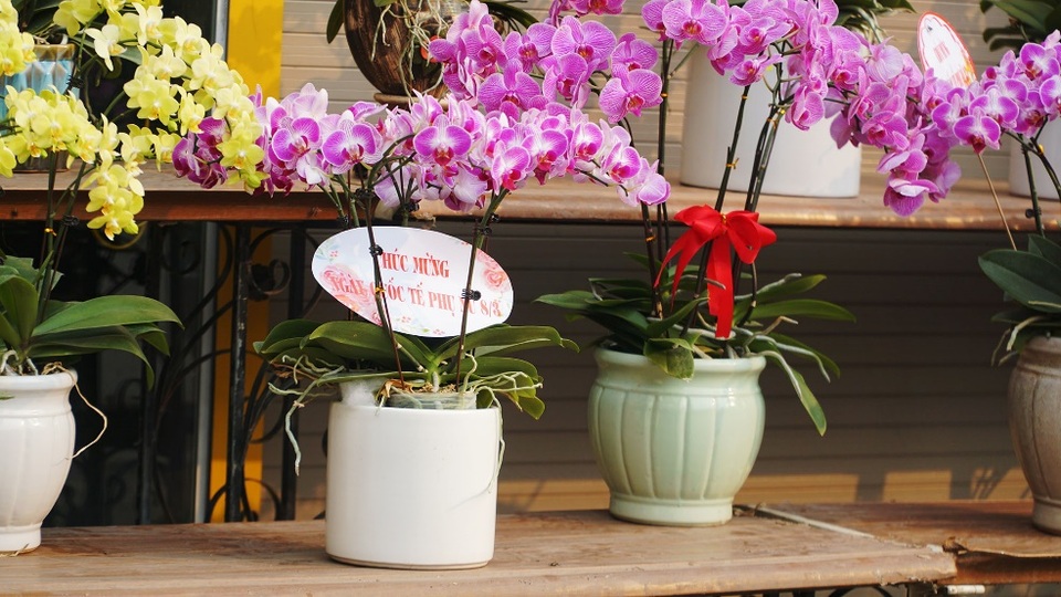 Cận ngày 8/3, hoa tươi bán dọc vỉa hè, tiểu thương đứng ngồi chờ khách - 7 Cận ngày 8/3, hoa tươi bán dọc vỉa hè, tiểu thương đứng ngồi chờ khách - 7