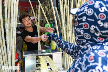 Quán nước mía ở Hà Nội thuê 10 người, ngày bán 6.000 cây thu tiền "khủng"