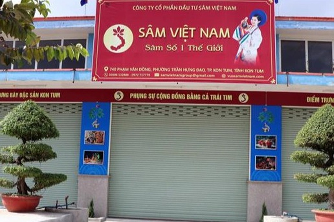 Doanh nghiệp trồng hơn 10 ha sâm Ngọc Linh... trên giấy - 1 Doanh nghiệp trồng hơn 10 ha sâm Ngọc Linh... trên giấy - 1