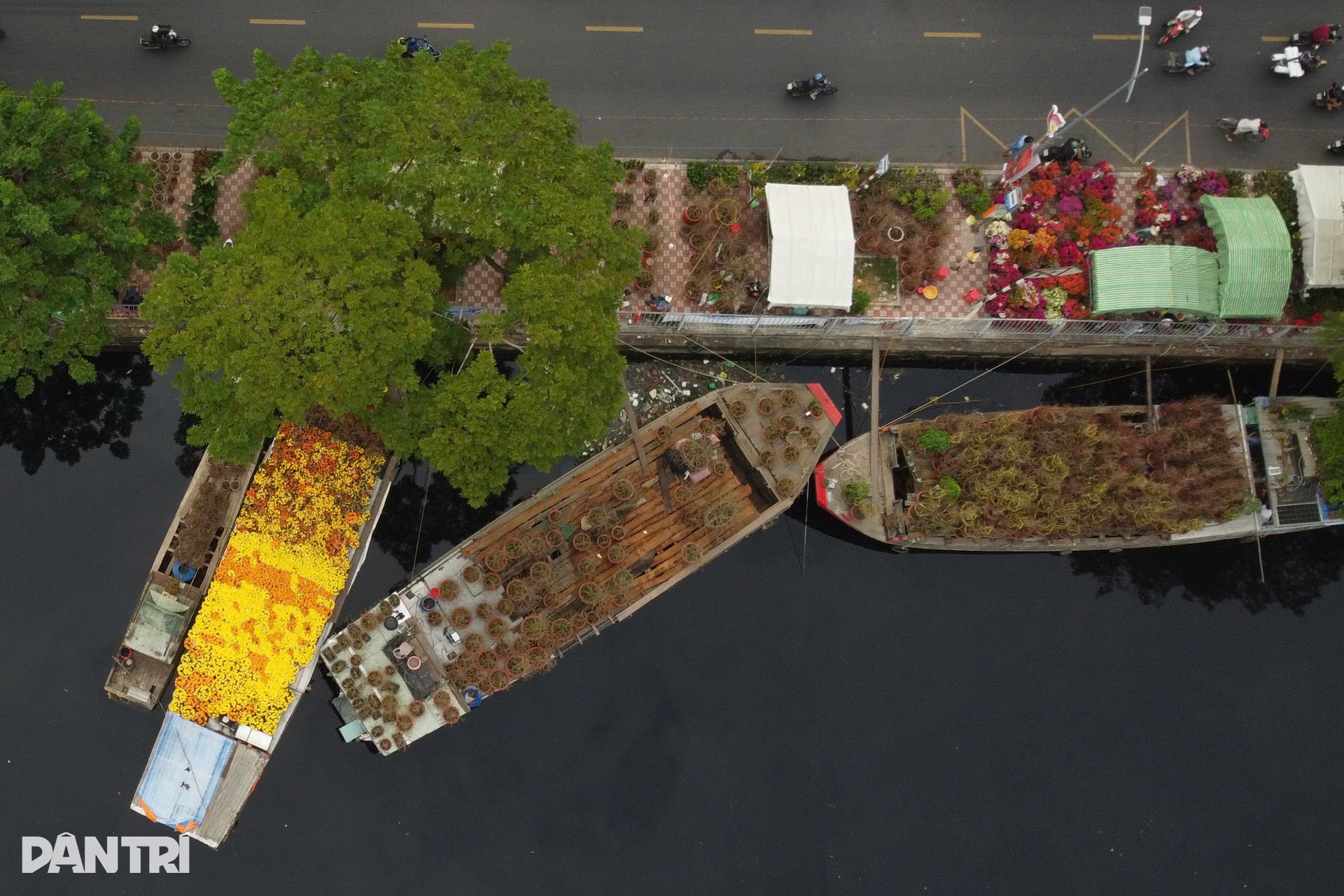 Tất bật chuẩn bị cho Chợ hoa xuân Trên bến dưới thuyền duy nhất tại TPHCM - 13 Tất bật chuẩn bị cho Chợ hoa xuân Trên bến dưới thuyền duy nhất tại TPHCM - 13