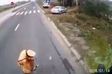 Vụ CSGT dẫm lên vật nghi là tiền: Không đủ căn cứ xác định nhận mãi lộ!