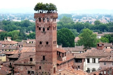 Độc đáo tháp cổ gần 700 năm tuổi, mọc cây trên đỉnh