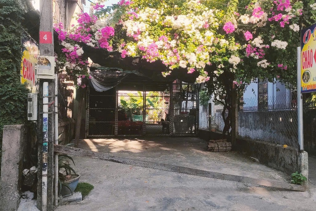 Người dân sợ bệnh liên cầu lợn, nhiều hàng quán ở Huế chuyển món, đóng cửa - 1 Người dân sợ bệnh liên cầu lợn, nhiều hàng quán ở Huế chuyển món, đóng cửa - 1