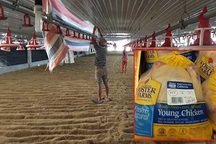 Gà ngoại "giết chết" gà Việt