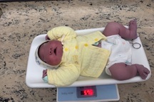 Hy hữu: Bé trai ở Hà Nội vừa chào đời đã nặng gần 6kg