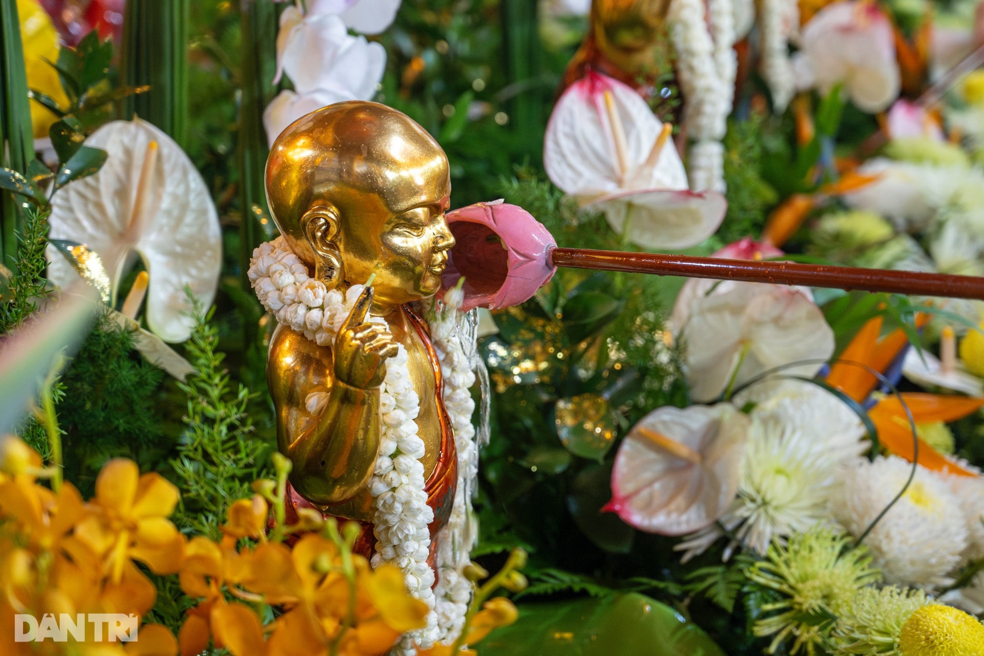 Đông đảo phật tử, người dân đổ về chùa Quán Sứ dự Đại lễ Phật đản - 9 Đông đảo phật tử, người dân đổ về chùa Quán Sứ dự Đại lễ Phật đản - 9
