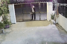 Chồng đi làm xa về nhà ăn Tết, vợ và 3 con gái đợi đến nửa đêm chạy ra đón