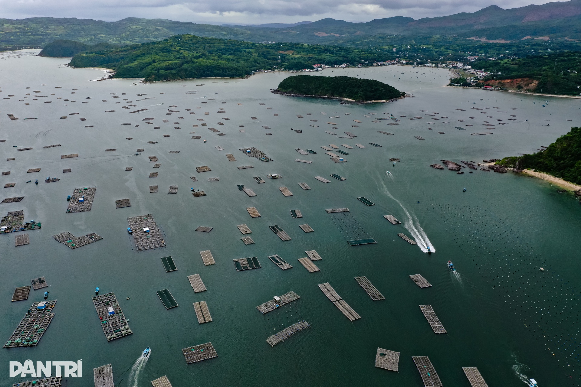 Ngư dân thủ phủ tôm hùm Việt Nam hối hả thu hoạch chạy bão Kalmaegi  - 13