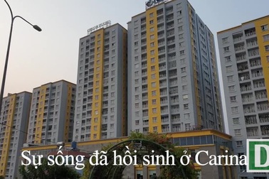 1 năm sau vụ cháy "kinh hoàng", cuộc sống ở Carina đã hồi sinh