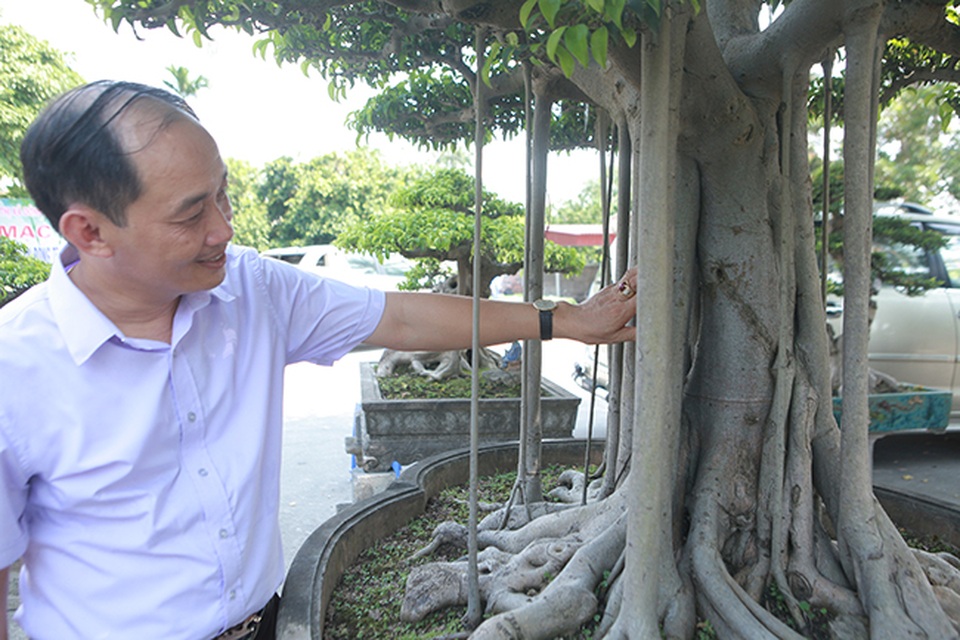 Chiêm ngưỡng “chùa Đồng” dưới bóng cây sanh tiền tỷ - 14 Chiêm ngưỡng “chùa Đồng” dưới bóng cây sanh tiền tỷ - 14