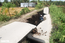 Khốc liệt hạn mặn: Đường sụt, lúa chết, thuyền dưới sông ngỡ đậu trên bờ