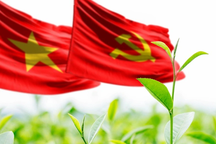 Mùa Xuân nghĩ về Đảng