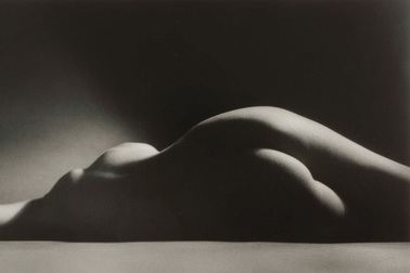 Sự ấm áp và gợi cảm đến từ những đường cong nữ tính