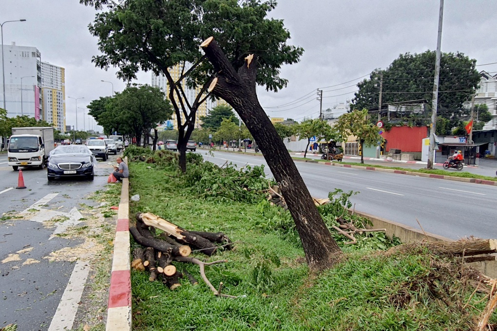 TPHCM: Gió lốc quật ngã hàng loạt cây xanh, đổ đè nhiều ô tô trên đường - 4 TPHCM: Gió lốc quật ngã hàng loạt cây xanh, đổ đè nhiều ô tô trên đường - 4