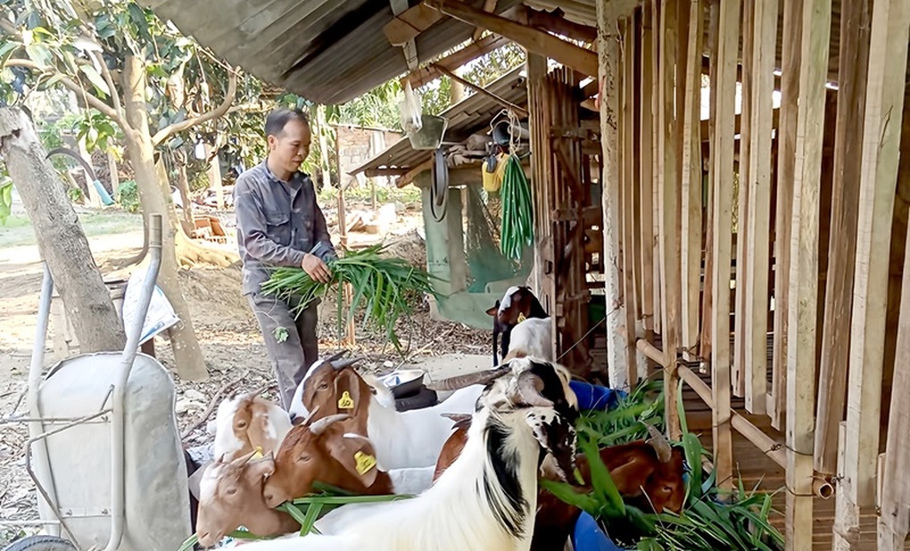 Tuyên Quang: Phát huy nội lực để giảm nghèo bền vững - 1 Tuyên Quang: Phát huy nội lực để giảm nghèo bền vững - 1